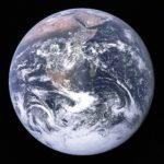hoeveel-veganisten-zijn-er-op-de-wereld