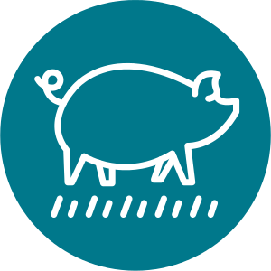 Icoon dieren