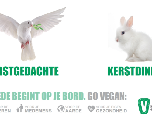Vegan kerst