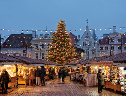 Vegan kerstmarkten 2018
