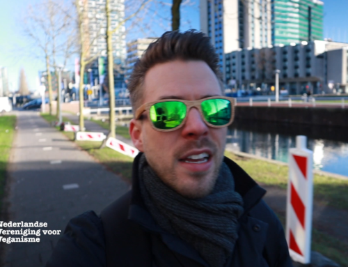 Vrijwilligersdag 2019