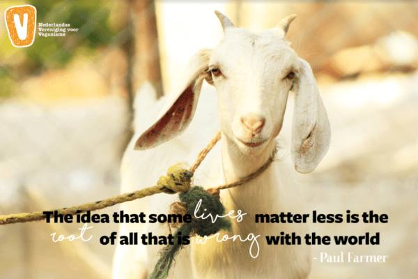 quote-2019-05-mei-some-lives-matter-less