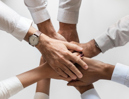 NVV sluit aan bij Vegan World Alliance