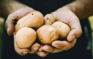 Aardappels in twee handen