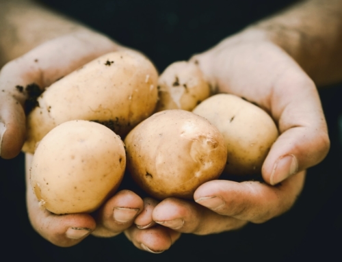 Samen helpen we de aardappelboer
