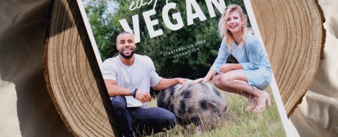 Easy Peasy Startersgids Cover