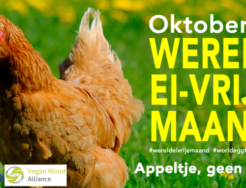 Wereld Ei-vrije dag – Waarom veganisten geen eieren eten