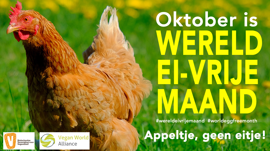 een kip met de tekst 'Oktober is wereld ei-vrije maand' en 'Appeltje, geen eitje!'