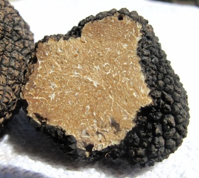 Truffel Doorsnede van een zwarte truffel