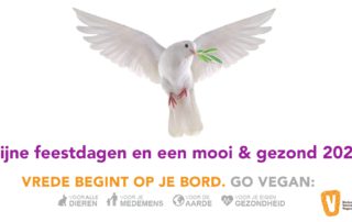 Gelukkig nieuwjaar