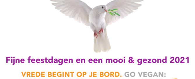 Gelukkig nieuwjaar