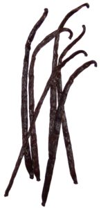 Vanillebonen Vanille