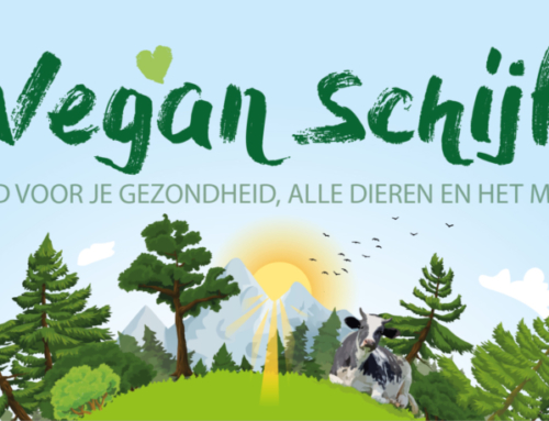 De Vegan Schijf voor een gezond plantaardig voedingspatroon: eindelijk een voedingsschijf voor veganisten!