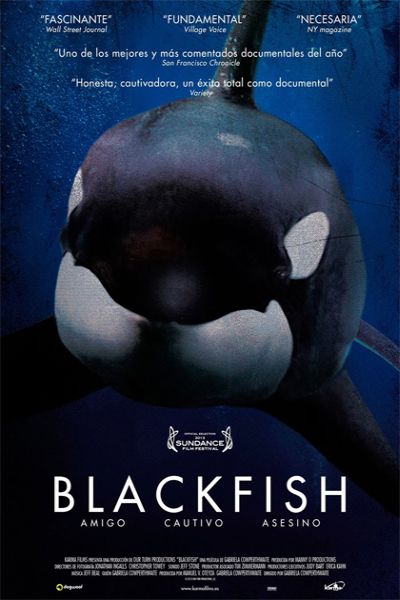 Poster van de film Blackfish, met daarop een orca