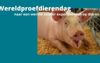 Wereld proefdierendag