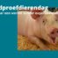 Wereld proefdierendag