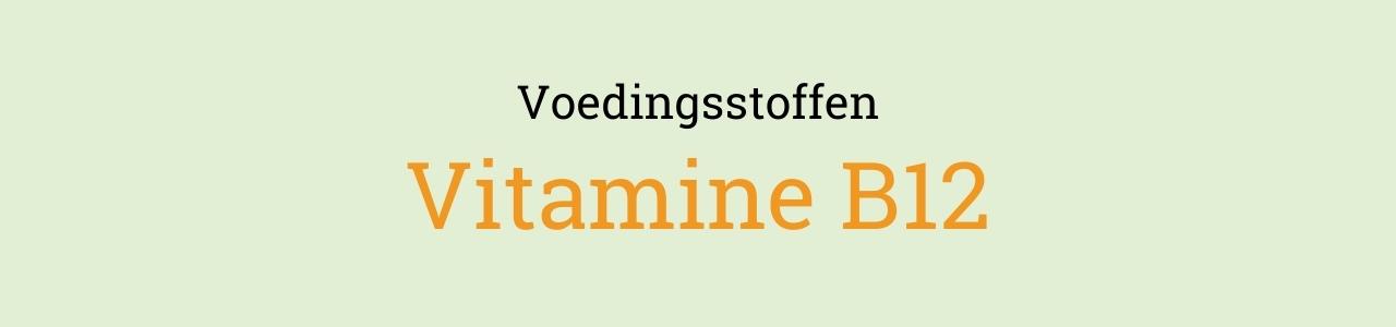 verrader Schuur Inademen Vitamine B12 - Nederlandse Vereniging voor Veganisme