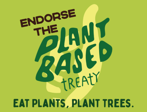 NVV tekent Plant Based Treaty