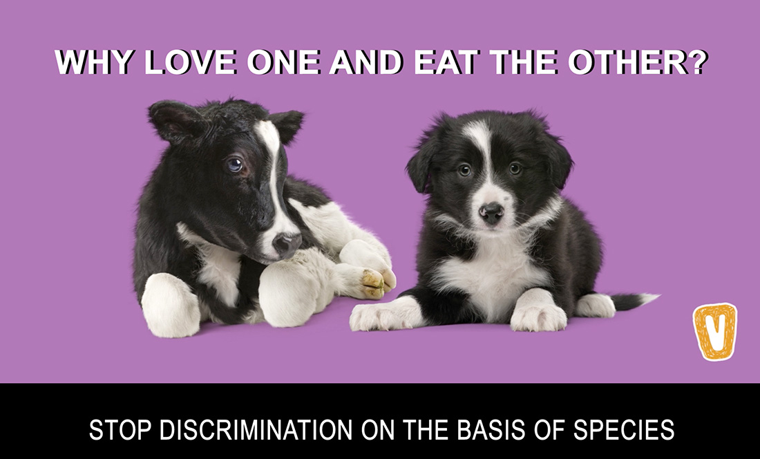 Speciesism: Discrimination Based on Species - Nederlandse Vereniging voor Veganisme Speciesism: Discrimination Based on Species - Nederlandse Vereniging voor Veganisme