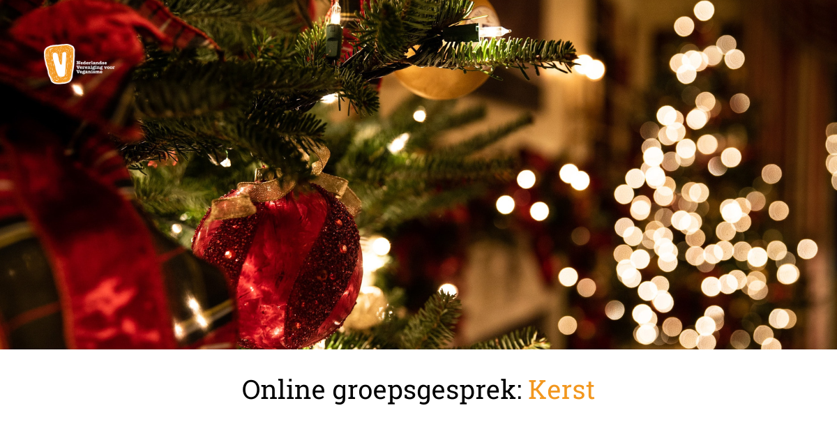 Online groepsgesprek: Kerst - Nederlandse Vereniging