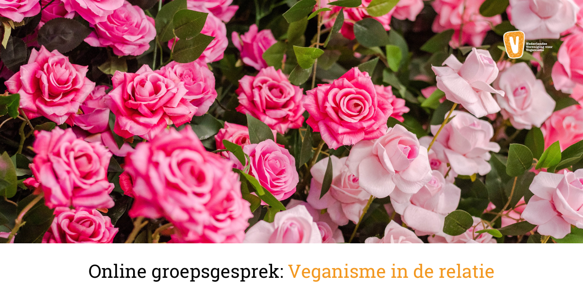 rozenstruiken met licht- en donkerroze rozen en de tekst 'Online groepsgesprek: veganisme in de relatie'