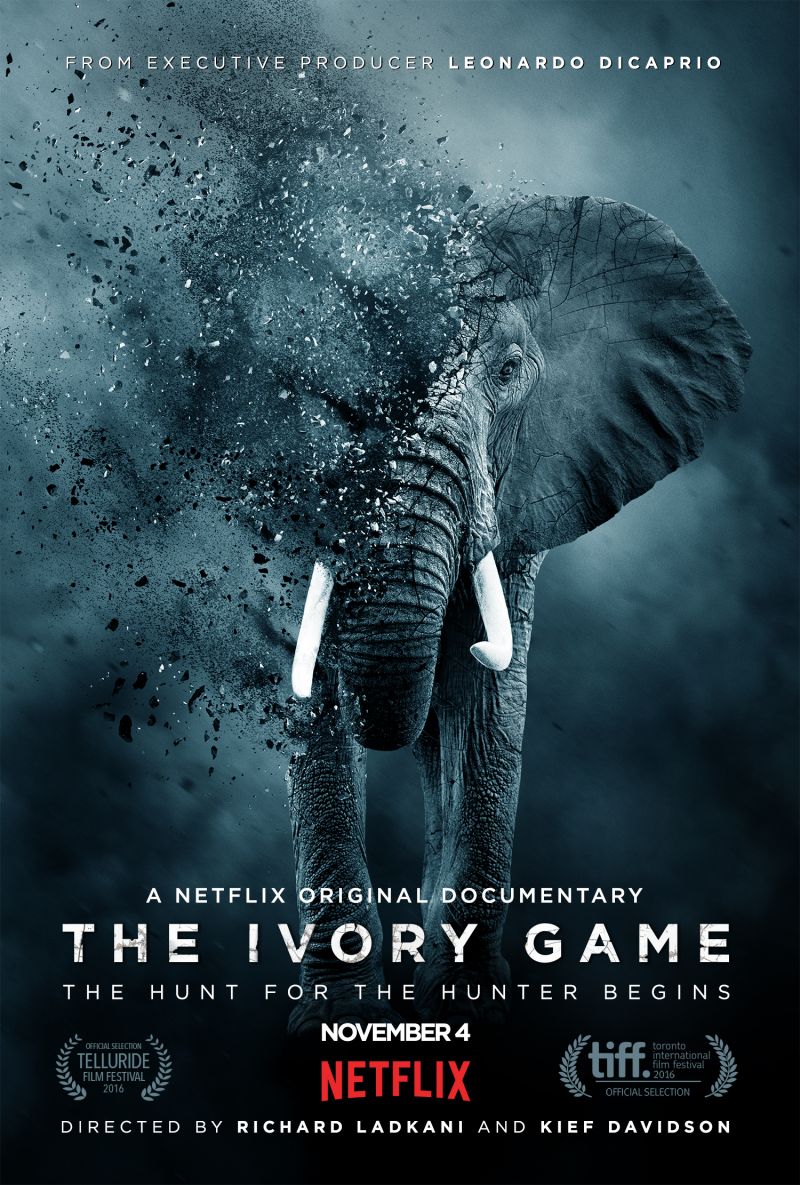 Poster van de Netflix-documentaire The Ivory Game. Witte slagtanden van een olifant steken scherp af tegen zijn donkere huid.