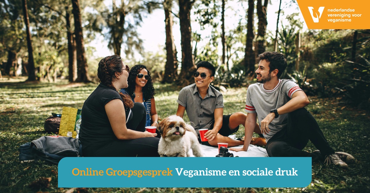 Symbolisch plaatje van 4 mensen die aan het picknicken zijn in het park en een hondje op de voorgrond