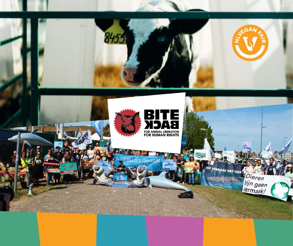 Bite-back-NLVegan-Fair-2025 Collage van onder andere een plaatje van een koe en in het midden de tekst Bite Back.
