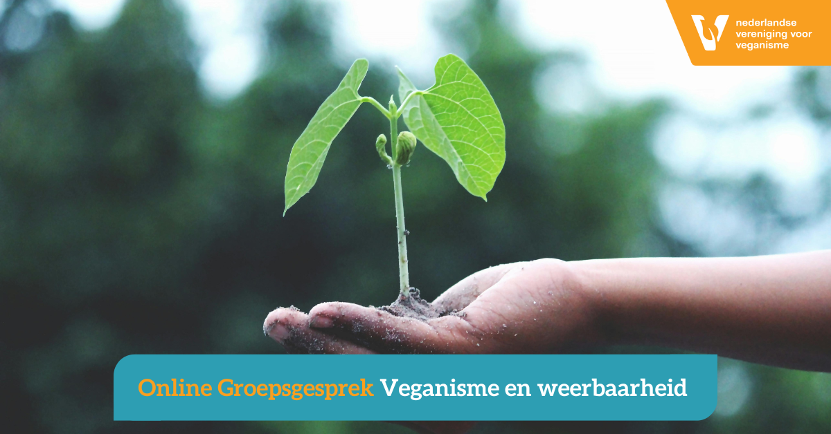 Een mensenhand houdt een jong plantje vast. Daarbij het logo van de NVV zichtbaar, en het onderwerp van het event.