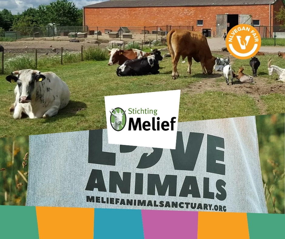 Dieren in een weiland van Animal Sanctuary Melief