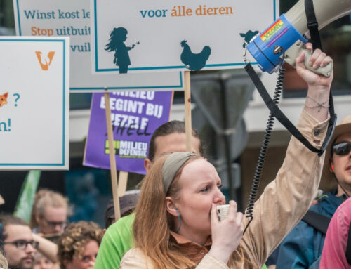 Tara: de stille kracht achter 23+ evenementen per jaar