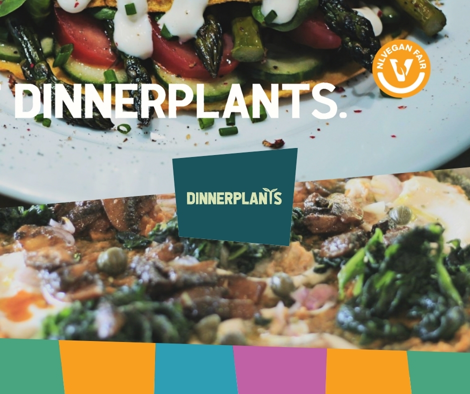 Gerechten van Dinnerplants