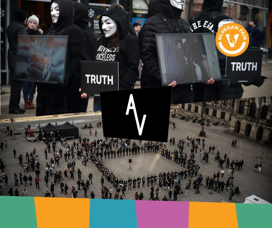 Een demonstratie van Anonymous for the Voiceless