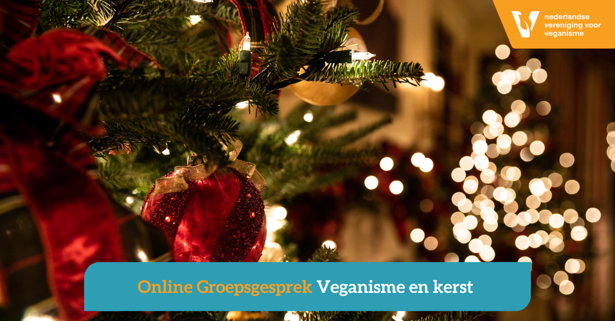 Kerstboom met versiering met de titel van het evenement en het NVV logo