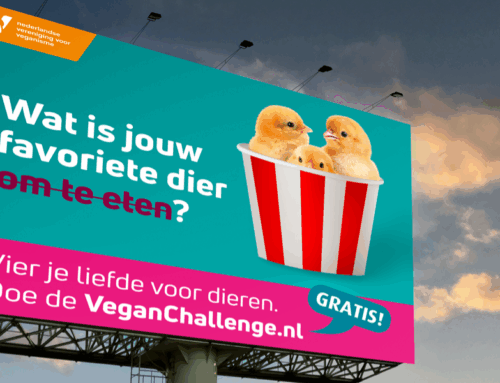 Doneer jij aan de campagne Favoriete Dier?