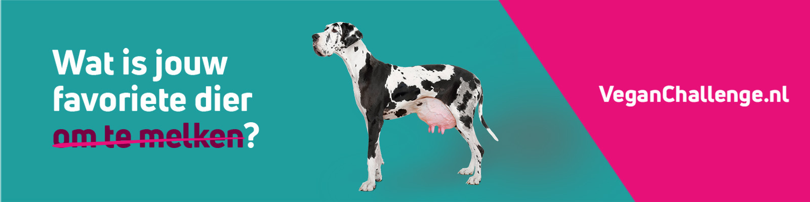 Banner met in het midden een zwart wit gevlekte hond met grote uiers als van een koe. Met daarnaast de tekst: Wat is jouw favoriete dier om te melken. 'Om te melken' is doorgestreept. Rechts van de hond staat: Vier je liefde voor dieren. Doe de VeganChallenge.