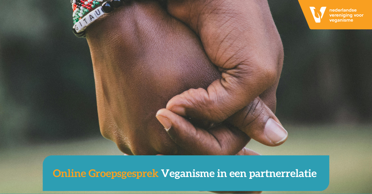 Twee handen die elkaar vasthouden.