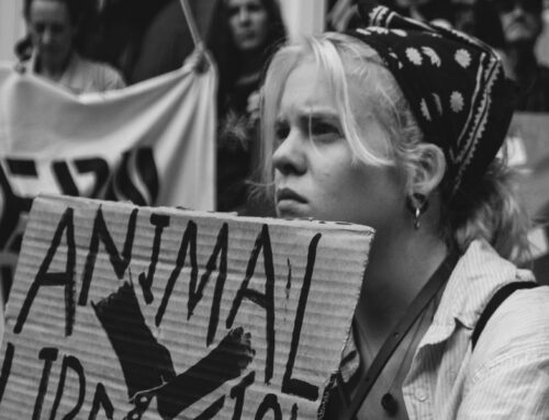 Waar komt veganisme vandaan?