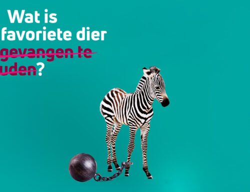 Resultaten campagne Favoriete Dier