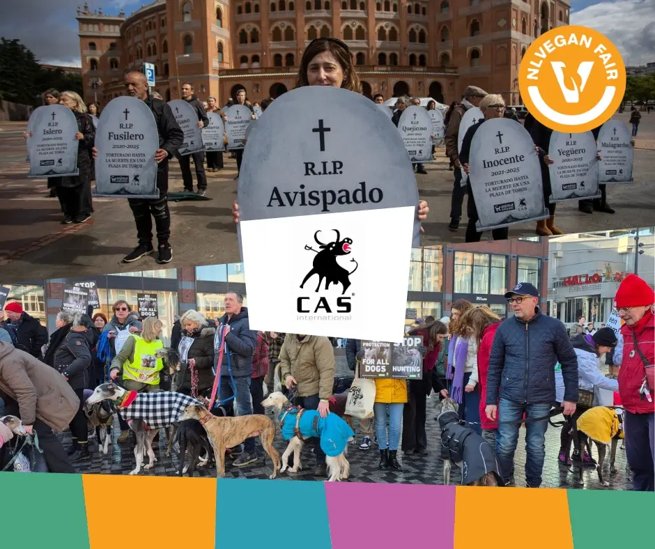 Foto's van demonstraties tegen stierenvechten van CAS International met logo NLVegan Fair erop