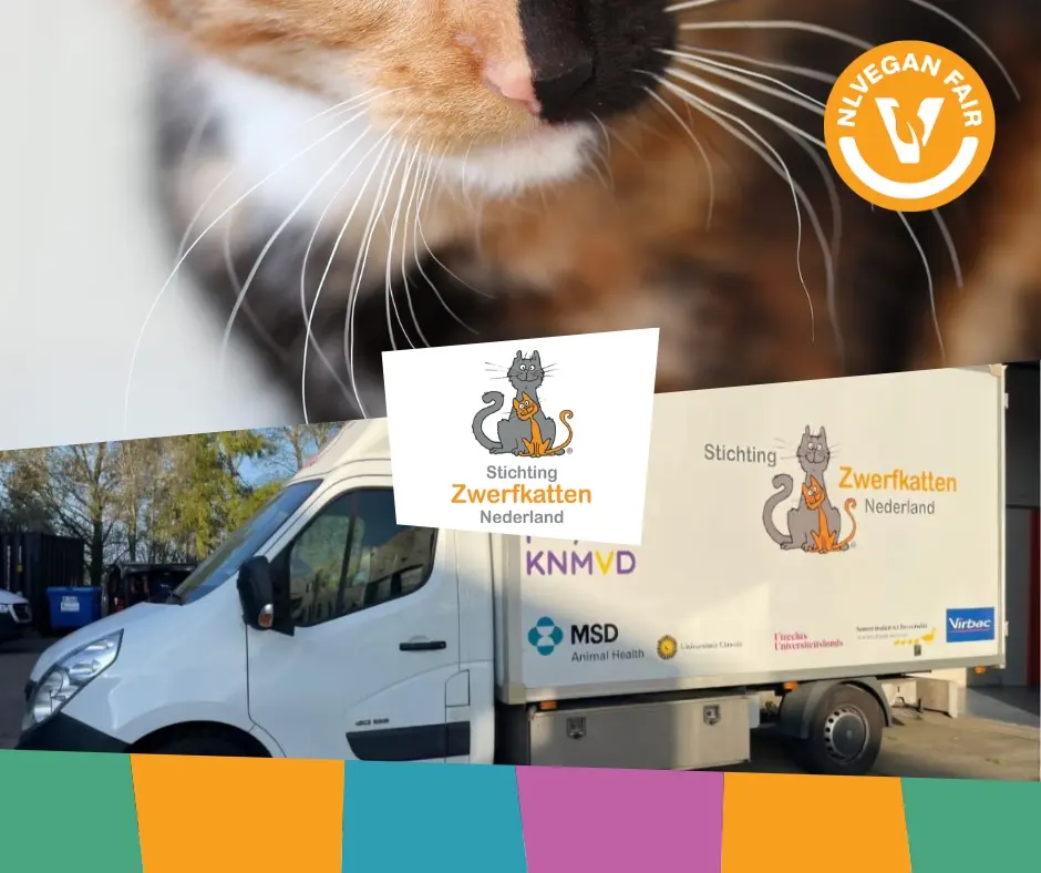 foto van een lapjeskat en de auto van Stichting Zwerfkatten Nederland met het logo van NLVegan Fair erop.