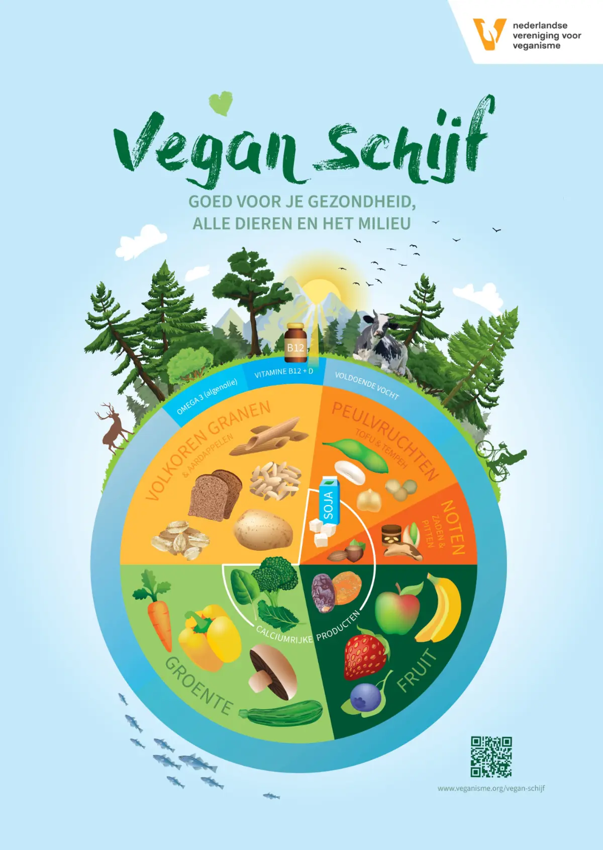 Vegan-schijf-voedingsposter NVV Voedingsposter