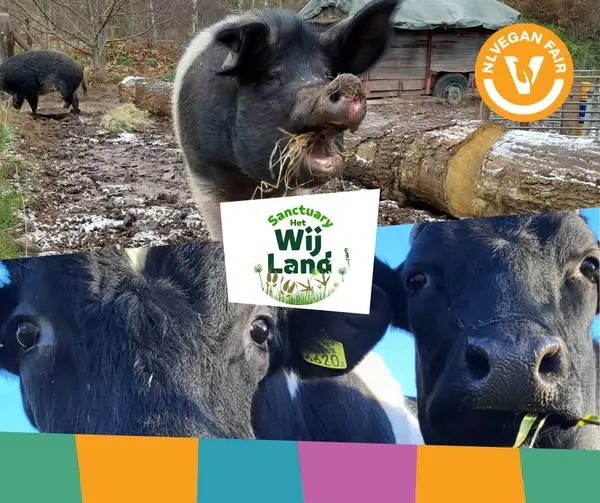 Wijland-nlvegan-fair-2026