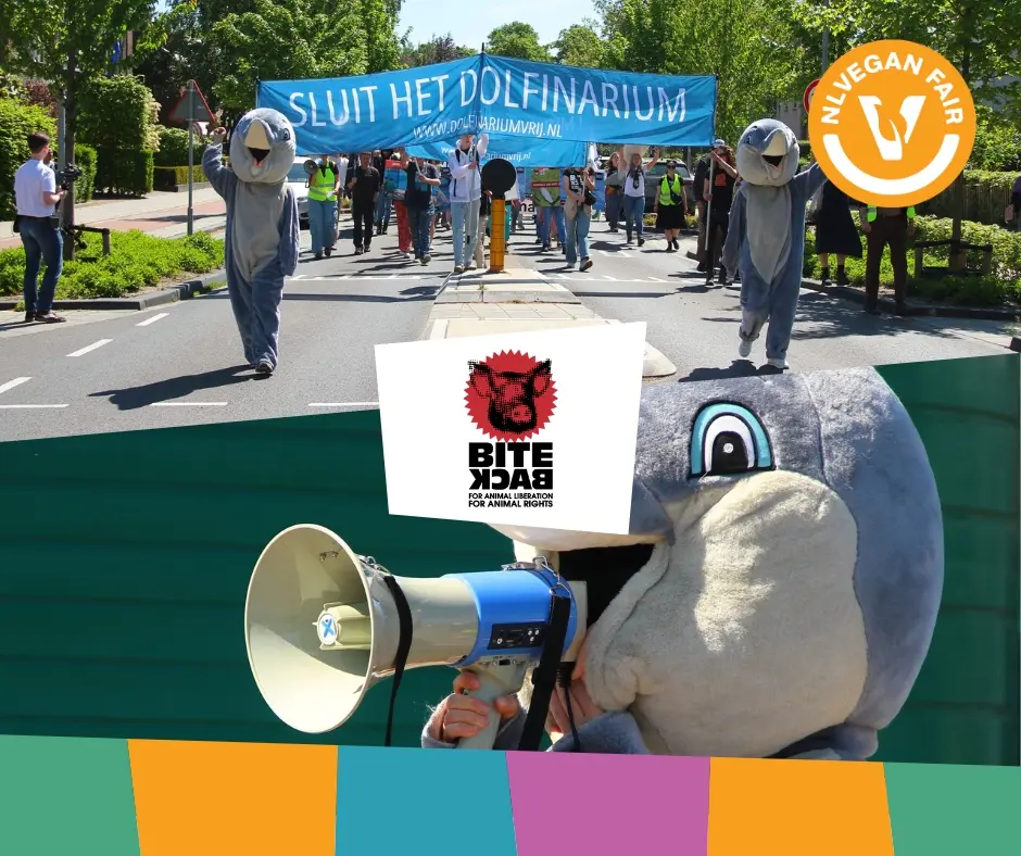 Twee foto'svan een demonstratie van Bite Back tegen het Dolfinarium Harderwijk