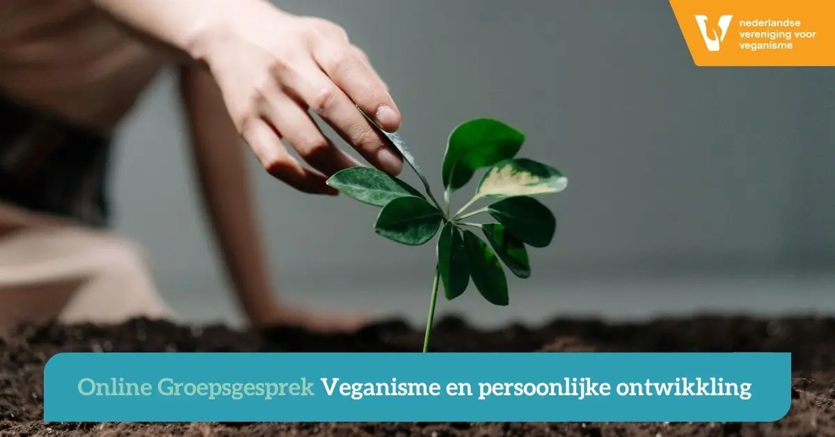 plantje met een hand die het plantje aanraakt