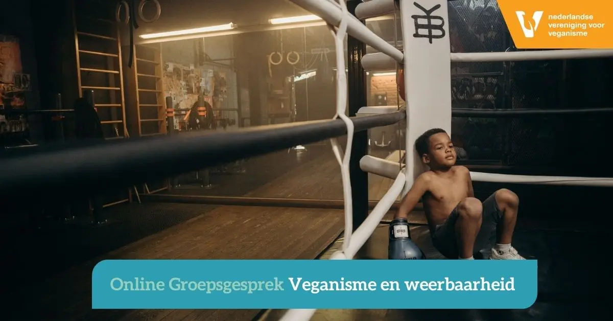 Boksring met daarin een jongen die op de grond zit.