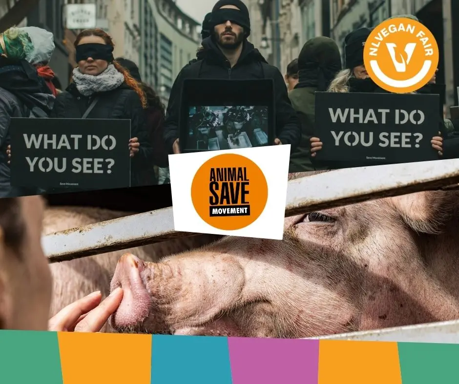 Animal Save Nederland_veganfair_2026 een foto van geblinddoekte demonstranten van Animal Save Movement met daaronder een foto waarop een activist de neus van een varken aanraakt dat naar een slachthuis wordt vervoerd. Daarvoor het logo van Animal Save Movement en het logo van NL Vegan Fair.