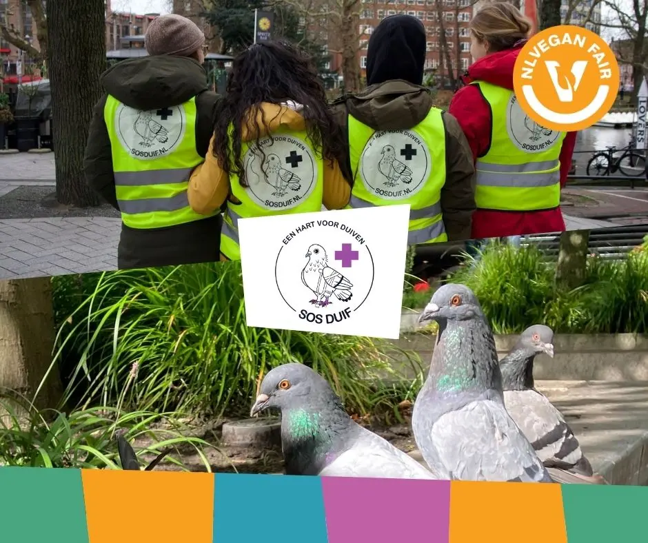 SOS duif_Veganfair_2026 Een foto van leden van SOS Duif met daaronder een foto van drie stadsduiven met daarvoor het logo van SOS Duif, een hart voor duiven en het logo van NLVegan Fair