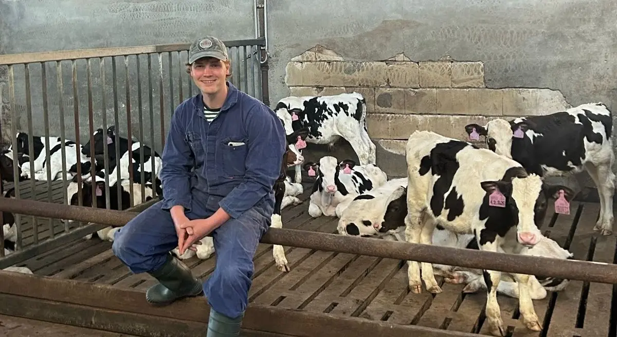 Wouter Waayer leunt lachend voor een stal met jonge koeien.