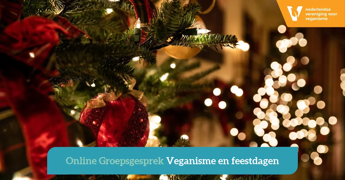 Foto van dennenboom met rode decoratie.